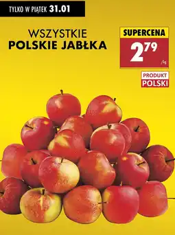 Biedronka Jabłka oferta