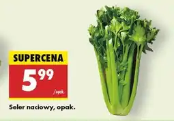 Biedronka Seler naciowy oferta