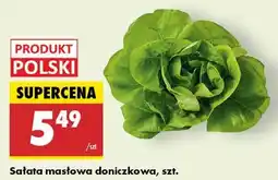 Biedronka Sałata masłowa polska oferta