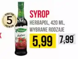 Delikatesy Ribena Syrop herbapol oferta