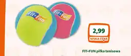 Maxi Zoo FIT+FUN piłka tenisowa oferta