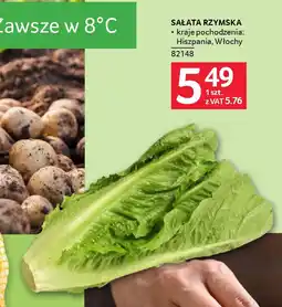 Selgros Sałata rzymska oferta