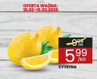 Wafelek Cytryna oferta