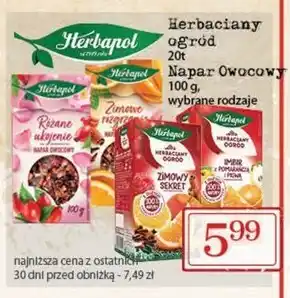 Społem Herbapol Herbaciany Ogród Herbatka owocowo-ziołowa zimowy sekret 60 g (20 x 3 g) oferta