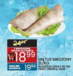 Wafelek Mietus mrożony oferta