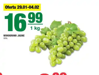 EuroSPAR Winogrono jasne oferta