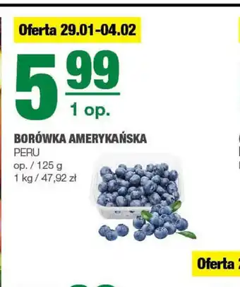 EuroSPAR Borówka amerykańska oferta