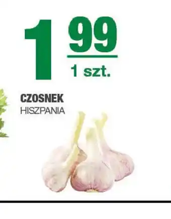 EuroSPAR Czosnek oferta