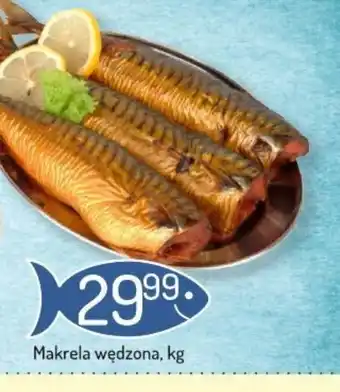 Avita Makrela wędzona oferta