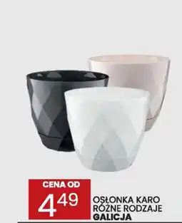 Wafelek Osłonka karo galicja oferta