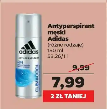 Netto Antyperspirant męski Adidas oferta