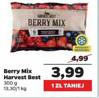 Netto Berry Mix Harvest Best oferta