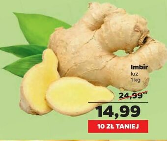 Netto Imbir oferta