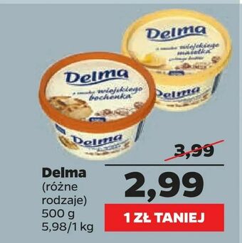 Netto Delma oferta