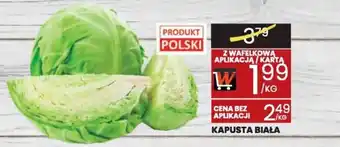 Wafelek Kapusta biała oferta