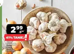 Netto Czosnek oferta