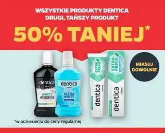 Netto Pasta do zębów extra fresh Dentica oferta