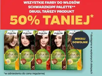 Netto Farba do włosów ciemny brąz 800 Palette Natural Colors Creme oferta