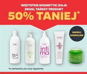 Netto Naturalny krem oliwkowy cera sucha i normalna Ziaja Oliwkowa oferta