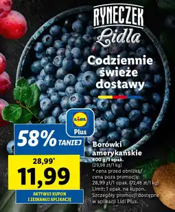 Lidl Borówki amerykańskie oferta