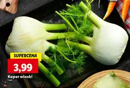 Lidl Koper włoski oferta