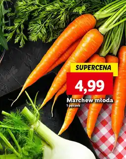 Lidl Marchew młoda oferta