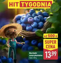 ALDI Borówki amerykańskie oferta