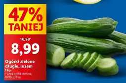 Lidl Ogórek długi oferta