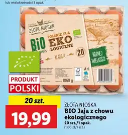 Lidl Jaja kl. a Złota Nioska oferta