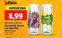 Lidl Piwo morillo Lubrow oferta