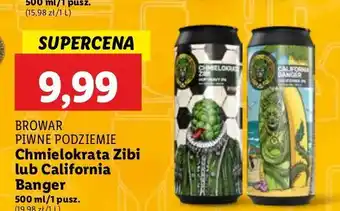 Lidl Piwo Piwne Podziemie California Banger oferta