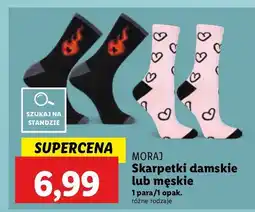 Lidl Skarpetki męskie Moraj oferta