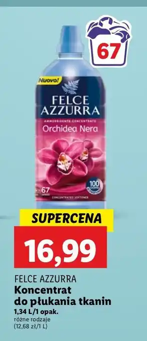 Lidl Koncentrat do płukania orchidea nera Felce Azzurra oferta