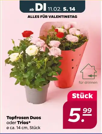 Netto Topfrosen Duos oder Trios oferta