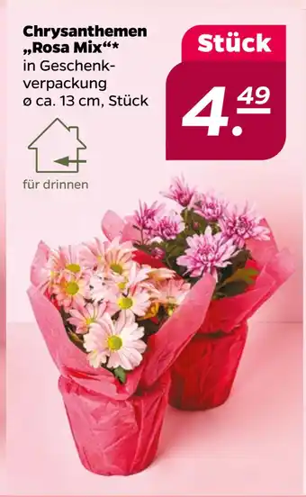 Netto Chrysanthemen „Rosa Mix“ oferta