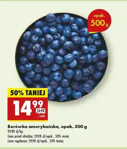 Biedronka Borówka amerykańska oferta