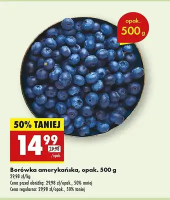 Biedronka Borówka amerykańska oferta