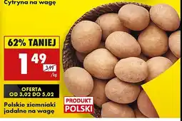 Biedronka Ziemniaki polskie oferta