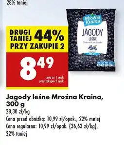 Biedronka Jagody leśne Mroźna kraina oferta