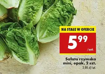 Biedronka Sałatka rzymska mini oferta