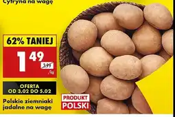 Biedronka Ziemniaki oferta