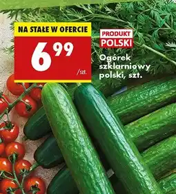 Biedronka Ogórek szklarniowy oferta