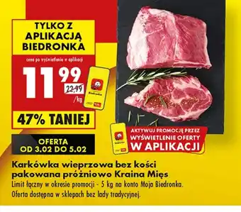 Biedronka Karkówka Kraina Mięs oferta