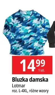 E.Leclerc Bluzka damska l-4xl Lotmar oferta