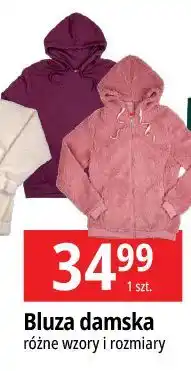 E.Leclerc Bluza damska oferta