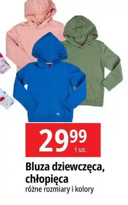 E.Leclerc Bluza chłopieca oferta