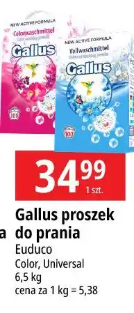 E.Leclerc Proszek do prania Gallus oferta