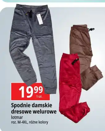 E.Leclerc Spodnie damskie dresowe rozm. m-4xl Lotmar oferta