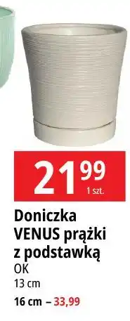 E.Leclerc Doniczka venus 16 cm Ok Katarzyna Ostrowska oferta