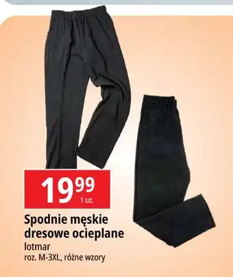 E.Leclerc Spodnie męskie dresowe rozm. m-3xl Lotmar oferta